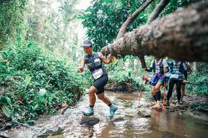 BIB: 
                            <button type="button" onclick="openModal(25373737)" class="btn btn-primary btn-sm float-right btn-popup" data-toggle="modal" data-target=".modal-high-quality">
                        <i class="fas fa-shopping-cart"></i> Add to Cart
                    </button>
                                            <button type="button" onclick="isThisMe(25373737, true)" class="btn btn-success btn-sm float-right btn-popup btn-isme hidden" data-toggle="tooltip" data-placement="bottom" title="นี่คือรูปของคุณใช่ไหม คลิกที่นี่เพื่อเอาเข้าอัลบั้ม">
                        <i class="fas fa-plus"></i> Add to album
                    </button>
                    <button type="button" onclick="isThisMe(25373737, false)" class="btn btn-warning btn-sm float-right btn-popup btn-isnotme hidden">
                        <i class="fas fa-ban"></i> Remove from album
                    </button>